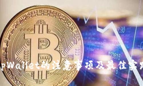 使用tpWallet的注意事项及最佳实践指南