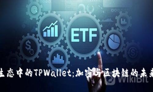 波场生态中的TPWallet：加密与区块链的未来之钥