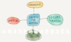 无法创建比特币钱包的解