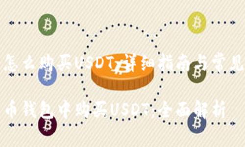 货币钱包怎么购买USDT：详细指南与常见问题解答

如何在货币钱包中购买USDT：全面解析