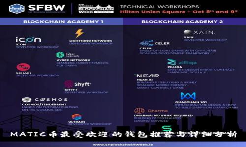 MATIC币最受欢迎的钱包推荐与详细分析