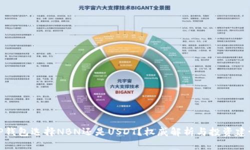 TP钱包选择NBN还是USDT？权威解析与投资建议