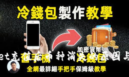 : tpWallet充值后币种消失的原因与解决办法