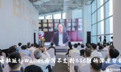 电脑版tpWallet为何不支持