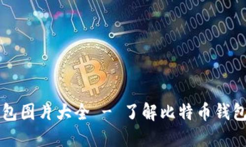 高清比特币钱包图片大全 - 了解比特币钱包的类型与选择