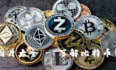 高清比特币钱包图片大全