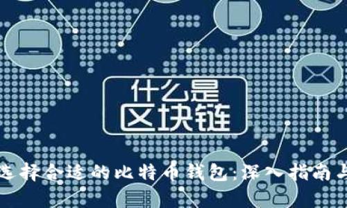 如何选择合适的比特币钱包：深入指南与分析