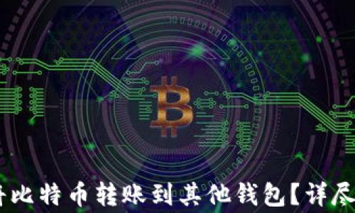 
如何在OKEx平台上将比特币转账到其他钱包？详尽指南与常见问题解答