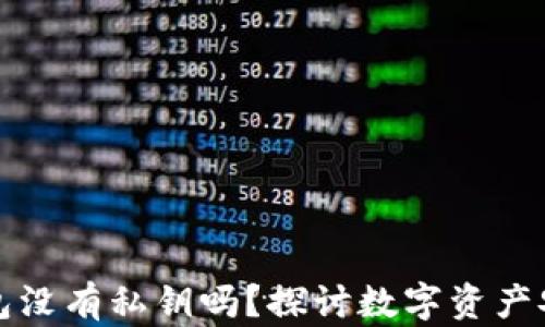 
比特币钱包没有私钥吗？探讨数字资产安全与管理
