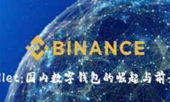 tpWallet：国内数字钱包的崛