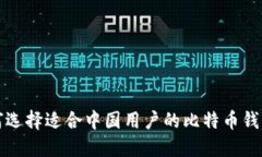 : 如何选择适合中国用户的