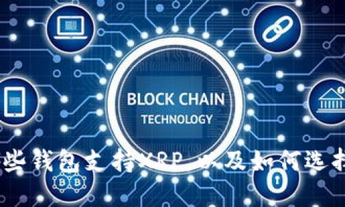 最全指南：哪些钱包支持XRP，以及如何选择合适的钱包