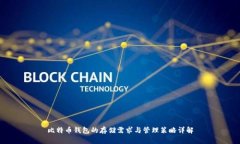 比特币钱包的存储需求与