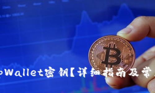 如何找到tpWallet密钥？详细指南及常见问题解答