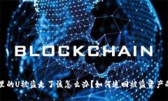 tpWallet里的U被盗走了该怎
