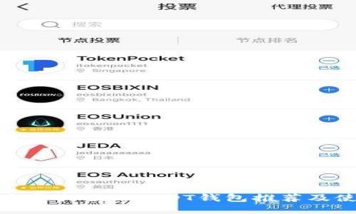 : 国内最受欢迎的USDT钱包推荐及使用攻略