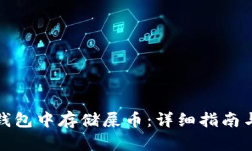 如何在TP钱包中存储屎币：详细指南与实用建议