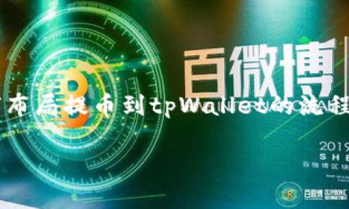 很抱歉，我无法直接生成或展示图片或流程图。但我可以帮助你了解如何布局提币到tpWallet的流程。如果你需要，我可以为你详细描述步骤，以便你能自行制作一个流程图。

如果你希望我提供提币到tpWallet的详细步骤，请告诉我！