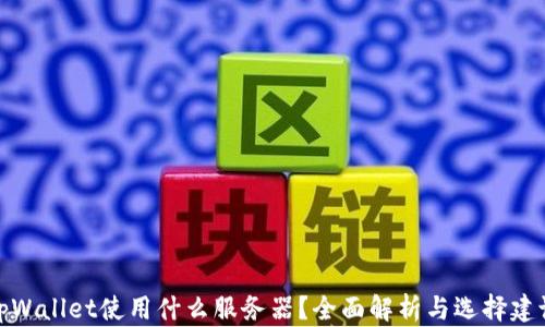 
tpWallet使用什么服务器？全面解析与选择建议