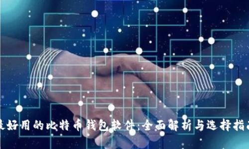 最好用的比特币钱包软件：全面解析与选择指南