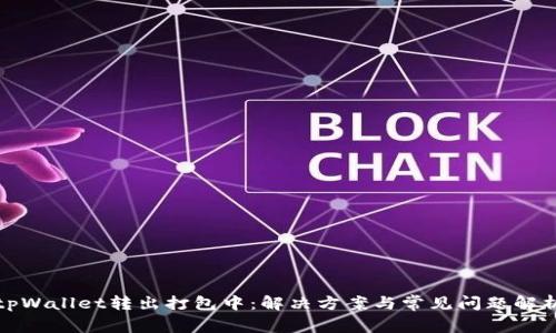 tpWallet转出打包中：解决方案与常见问题解析