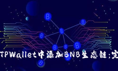 如何在TPWallet中添加BNB生态链：完整指南