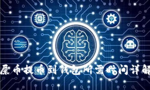 屎币提币到钱包所需时间详解