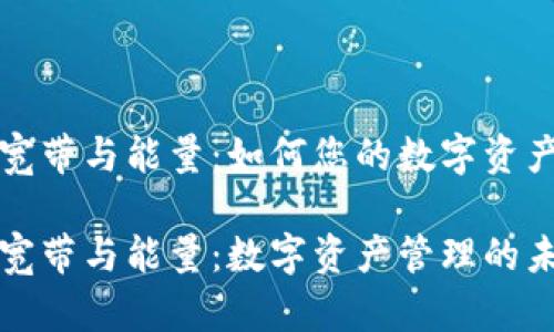 tpWallet宽带与能量：如何您的数字资产管理体验

tpWallet宽带与能量：数字资产管理的未来