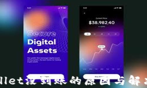 
转到tpWallet没到账的原因与解决方法探讨