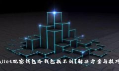 tpWallet观察钱包冷钱包找不到？解决方案与技巧详