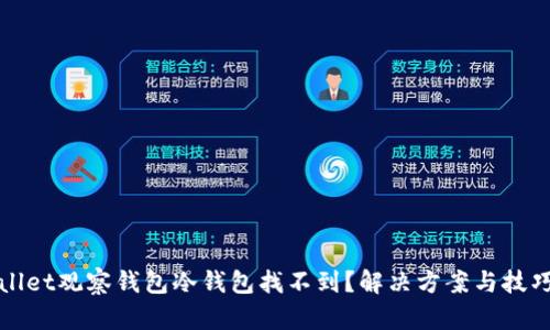 tpWallet观察钱包冷钱包找不到？解决方案与技巧详解