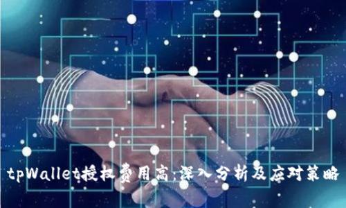 tpWallet授权费用高：深入分析及应对策略