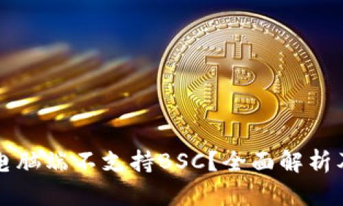 tpWallet电脑端不支持BSC？全面解析及解决方案