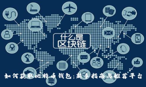 如何获取比特币钱包：新手指南与推荐平台